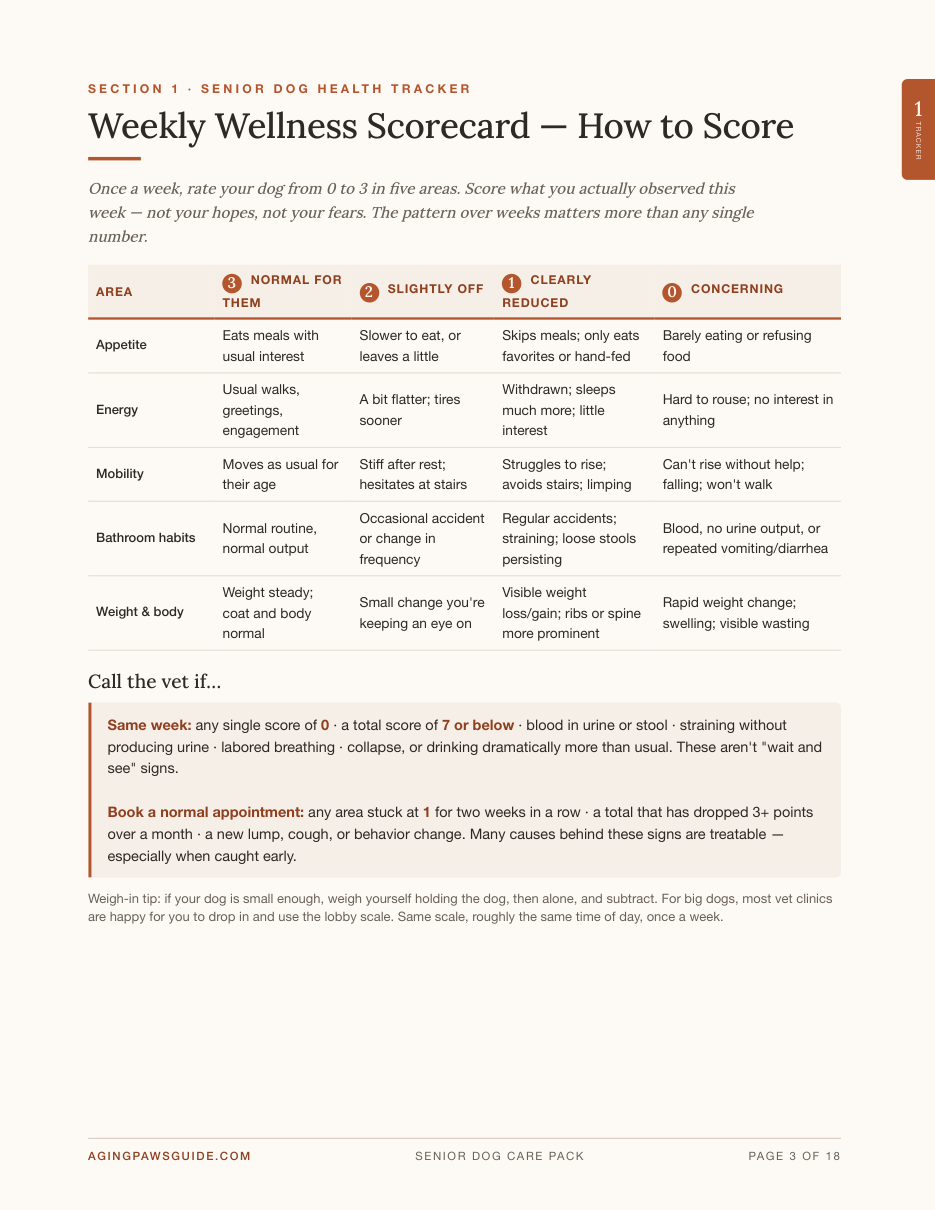Weekly Wellness Scorecard page