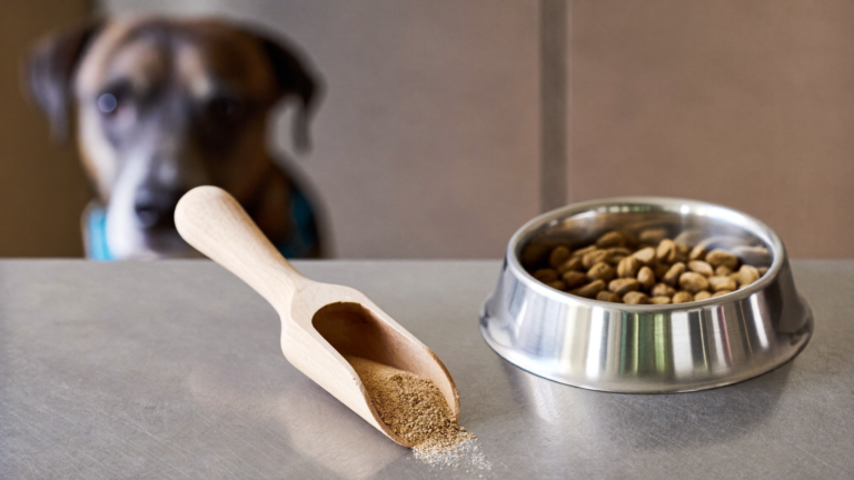 Methylsulfonylmethane for Dogs: What It Actually Does